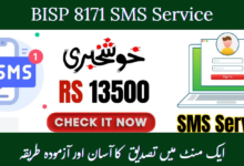 BISP 8171 SMS Service